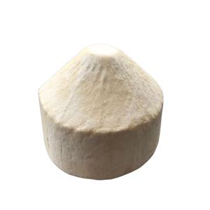 Coco Diamante Entero FRESCO de Primera Calidad, con Cáscara, Orgánico, 870g 900g, Calidad Vietnamita, Bebida Tropical Natural y Saludable - Product Image 1