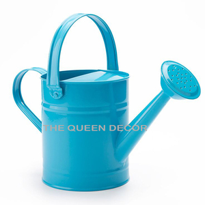 Arrosoirs en métal galvanisé de qualité supérieure avec doubles poignées, pour l'extérieur, les jardins, la maison et la décoration de balcon - Product Image 2