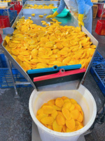Vietnam Vacuüm Verpakte Zachte Gedroogde Mango Chips Zoete Smaak Natuurlijke Fruit Snacks Groothandel OEM Privé
