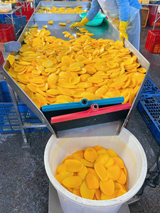 Vietnam Vacuum Pack Soft <b>Dried</b> <b>Mango</b> Chips Sweet Taste Natural Common Water Quality Fruit Snacks Bulk Wholesale OEM Private - Product Image 2