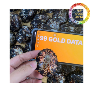 Limpet shells for resin art crafts and coastal decoration premium dried sea shells bulk supply - Product Image 4