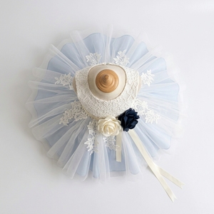 Robe de Demoiselle d'Honneur Tutupetti Élégante et Luxueuse, Bleu Poussière, Dentelle Ivoire, Tulle, Robe de Bal Sans Manches, Princesse, Mariage, Anniversaire, Enfants - Product Image 4