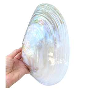 Premium 10cm <b>Round</b> MOP Trinket <b>Tray</b> with Gold Plated Fish Design for Luxury <b>Table</b> Setting and Jewelry Display - Product Image 3