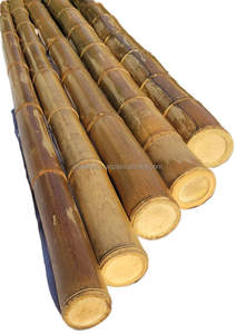 Poteaux de bambou naturel du Vietnam-exportation directe d'usine dans le monde entier - Product Image 4