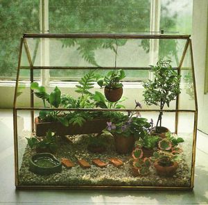 Home Decor Customized Metal And Glass Terrarium Modern Glass Planter for Indoor Plants, Succulents, Air Plants & DIY Terrarium - Product Image 6