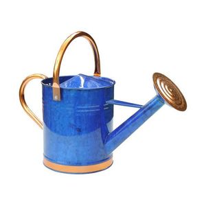 Arrosoir de jardin en métal de qualité supérieure avec long bec pour arroser les plantes de jardin et les fleurs de balcon - Product Image 4
