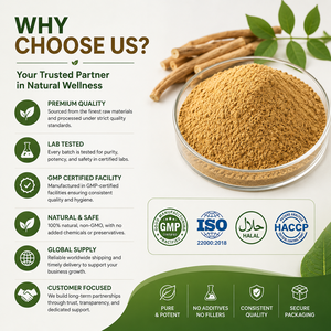 Ashwagandha de qualité supérieure (ginseng indien) Withania Somnifera - Product Image 4