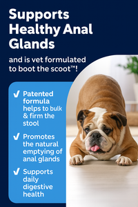 Suplemento Vitamínico Probiótico para Perros en Forma de Masticables Suaves de Calabaza, Enzimas Digestivas, Apoyo a las Glándulas Anales, Control de Olores, Salud de la Piel - Product Image 5