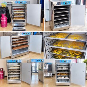 Horno Deshidratador de Alimentos a Gas de Alta Calidad con 5 Niveles, 2 Puertas, Completamente de Acero Inoxidable, con Termocontrol Digital de 70W - Product Image 5