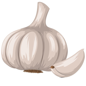 Ail frais pelé en gros à prix abordable – Vente en vrac d'ail frais blanc pur, blanc normal, blanc violet – Fournisseur d'ail 0,03 kg 5 - Product Image 6