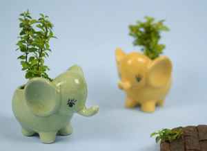 Maceta de Cerámica Esmaltada con Forma de Elefante para Suculentas |   Mini Maceta con Forma de Animal, Hecha a Mano, Ecológica, Duradera, 0.4 kg, para Hogar u Oficina - Product Image 2