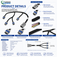Harness Kabel Injektor Bahan Bakar Otomotif Kustom dengan Selubung Anyaman dan Konektor Delphi/AMP untuk Sistem Mesin