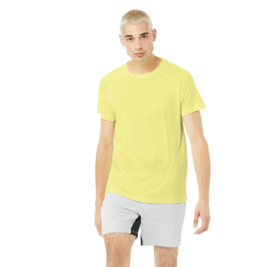 T-shirt pour homme en coton 100% uni, doux, respirant, écologique, décontracté, à manches courtes, pour la salle de sport, l'entraînement et le quotidien - Product Image 1