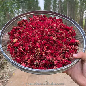 Lựu hoa thực vật nguyên liệu không khí khô hoa thảo mộc chất chống oxy hóa tự nhiên tisane thuốc/chiết xuất/Chăm sóc da sử dụng OEM chấp nhận - Product Image 5