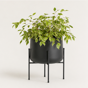 Modern Minimalist Metal Plant <b>Stand</b> with Large Black Flower <b>Pot</b> Rust-Proof Indoor Outdoor Decorative Planter for Living Room - Product Image 5