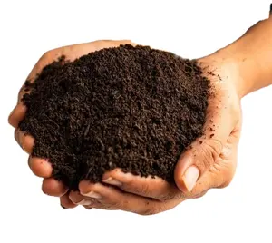 Vermicompost haute qualité riche en nutriments acide humique pour une bonne croissance des plantes