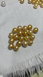 1 <b>set</b> of golden loose of south sea pearl for necklace use directly from local <b>farm</b> , Necklace <b>set</b>, A grade,pearl size 10mm - Product Image 3