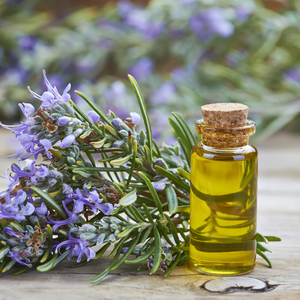 Aceite Esencial Puro de Romero, Aroma Herbal Fresco y Amaderado, Alta Calidad al Precio Más Bajo - Product Image 1