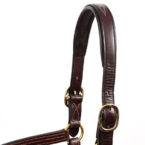 Productos de Equitación de Lujo, Cabestro de Cuero Inglés para Caballo con Herrajes de Latón, Equipo para Deportes Ecuestres y Carreras de Caballos - Product Image 3