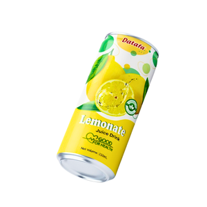 Jus de fruits naturels vitaminés OEM/ODM 250ml en canette mince, boisson au jus de citron, jus de fruits et légumes sous marque privée - Product Image 3