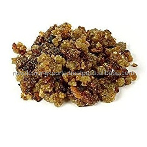 Résine de Guggul Indien Pure Sélectionnée à la Main, Gousses Brutes Aromatiques de Sapin pour Méditations et Rituels, Faible MOQ, Vente en Gros - Product Image 6