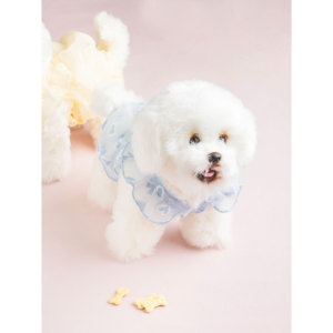 Premium Heart-Shaped See-Through Crop Tee <b>Collar</b> for Pets - Product Image 1