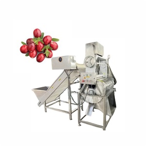 Equipo de Descorazonado de Frutas de Acero Inoxidable Totalmente Automático para Exportación de Calidad - Product Image 5