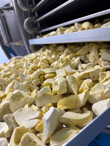 Sachets de durian lyophilisé en gros – Chips et morceaux de durian naturel de qualité supérieure du Vietnam - Product Image 2