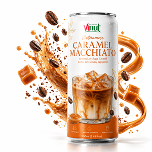 Échantillon Gratuit Vinut 250ml Boisson Prête à Boire Caramel Macchiato Vietnamien en Conserve Faible en Sucre Keto Caféine Naturelle Saveur Noix Douce - Product Image 1