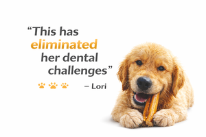 Friandises pour chiens Premium Naturelles Biologiques Sans OGM Sans Céréales en Bâtonnets de Bœuf Longue Durée Riches en Protéines Sans Additifs Saines pour Animaux de Compagnie - Product Image 5