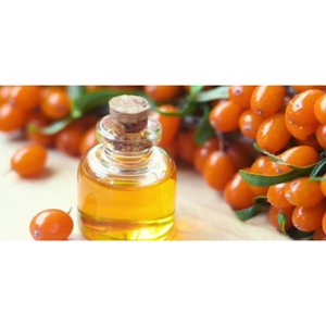 Pure Sea Buckthorn Oil Natural Plant Oil for Cosmetic Manufacturing & Wholesale Supply - Product Image 2
