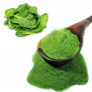 Ojistha Industries Polvo de Palak 100% Puro 100 g - 36 Meses de Vida Útil Sin Conservantes/Aditivos Bebida Hecha en Jharkhand - Product Image 3