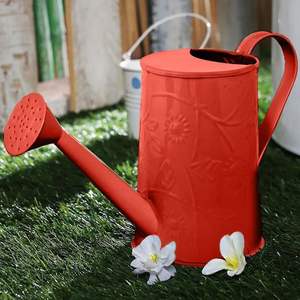 Regadera de jardín de metal con recubrimiento en polvo y superficie anticorrosiva para mayor durabilidad - Product Image 1