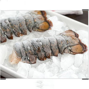 Live <b>Lobsters</b> / Frozen <b>Lobster</b> Tails - Product Image 1