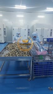 สกินปลาแซลมอนทอดกรอบผิวไข่เค็มจากเวียดนาม - Product Image 6