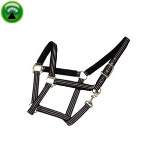 Cuerda Verde al por Mayor para Equipamiento de Caballos - Product Image 1