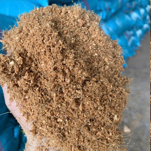 Turba de Coco de Vietnam, Medio de Cultivo Natural y Orgánico, Alta Retención de Agua, Limpio y Ecológico, Suministro a Granel para Exportación - Product Image 6