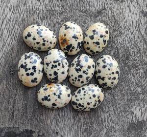 Cabujón de Jaspe Dálmata Natural, Piedra Preciosa Suelta |   Piedra Pulida de Forma Ovalada para la Fabricación de Joyas al por Mayor - Product Image 4