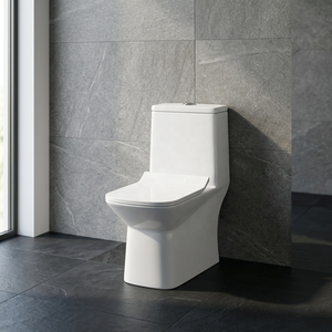 WC monobloc en céramique de haute qualité avec chasse d'eau automatique et réservoir encastré pour projets de salles de bain modernes - Product Image 2