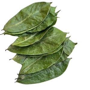 EXPAD Steamed Soursop Loose Leaf Herbal <b>Tea</b> in Glass Cup Naturally Dried Health <b>Tea</b> from Vietnam - Product Image 3