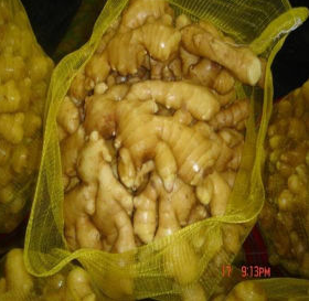 Standard importation/exportation OEM gingembre congelé Ms HOLIDAY - Product Image 5