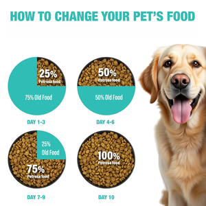 Alimento para Perros Adultos Adins International, Fórmula de Pollo, Ingredientes Limitados, Salud Digestiva, Apoyo Inmunológico, Para Todas las Razas, Gránulos - Product Image 5