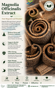 HGO Suministro Directo de Fábrica de Extracto Natural Puro de Magnolia Officinalis (Grado Alimenticio) Total Magnolol y Honokiol 98% - Product Image 3