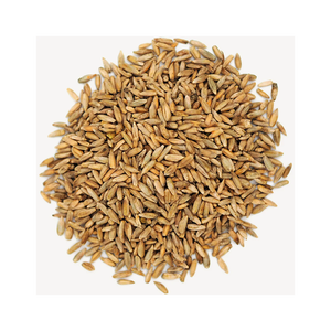 Suministro al por mayor de grano de centeno a precios competitivos y económicos - Product Image 6