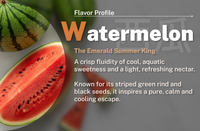 Watermeloenmelkpoeder voor bubble tea, niet-zuivelhoudende roomvulling, drankbasis, groothandel fruitdrankpoeder voor cafe menu's
