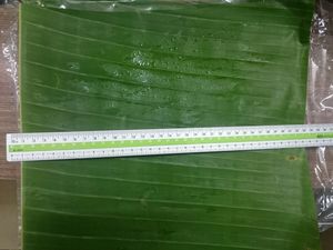 Hojas de Plátano Congeladas de Vietnam, Frescas de Fábrica, Hojas Verdes Naturales para Envolver Alimentos, Cocinar y Exportar - Product Image 2