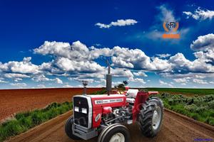 Tracteur Massey Ferguson MF 260 - Product Image 3