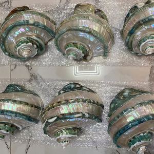 Vietnam Factory Supply Large Turbo Shell 14–16cm Natural Decorative Shell Bulk Export Supplier - Product Image 1