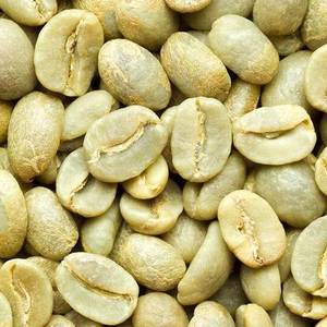 ผู้ผลิตโดยตรง เมล็ดกาแฟอาราบิก้าเขียวชนิดพิเศษ ขนาด 18 สำหรับนำเข้าและจำหน่าย ปริมาณขั้นต่ำต่อรองได้  หักและดำ 0.1% - Product Image 2
