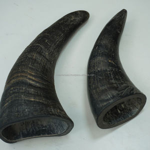 Chien en corne de buffle fort de qualité supérieure mâche des friandises naturelles sûres et saines durables par NHE Overseas - Product Image 1